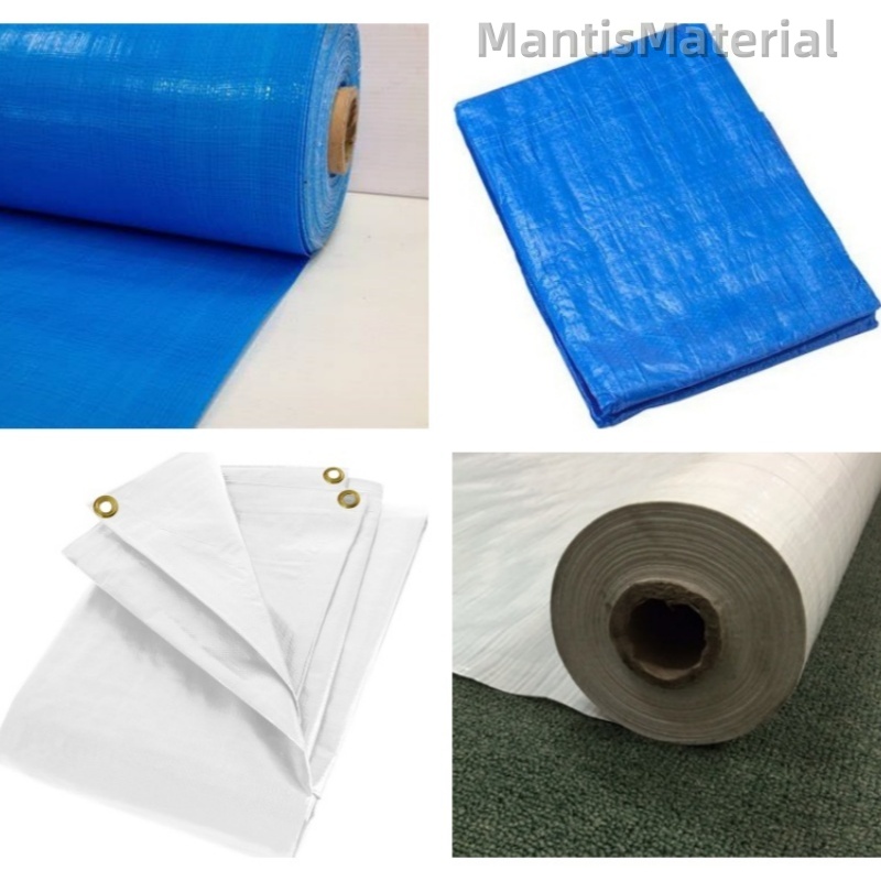 Understanding Mantis Carpet Film: A Comprehensive Guide